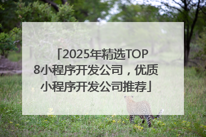 2025年精选TOP8小程序开发公司，优质小程序开发公司推荐