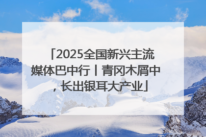 2025全国新兴主流媒体巴中行丨青冈木屑中，长出银耳大产业