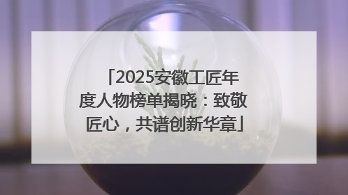 2025安徽工匠年度人物榜单揭晓：致敬匠心，共谱创新华章