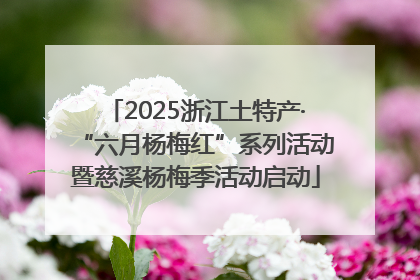 2025浙江土特产·“六月杨梅红”系列活动暨慈溪杨梅季活动启动