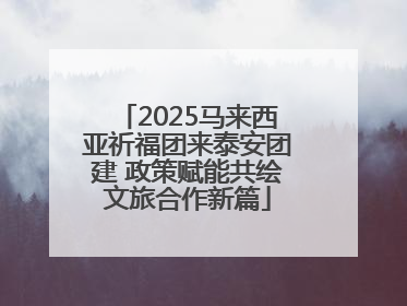 2025马来西亚祈福团来泰安团建 政策赋能共绘文旅合作新篇