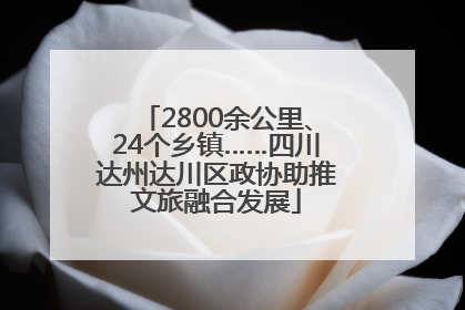 2800余公里、24个乡镇……四川达州达川区政协助推文旅融合发展
