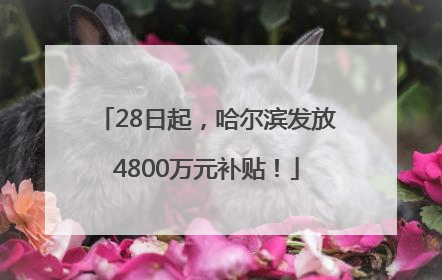 28日起，哈尔滨发放4800万元补贴！