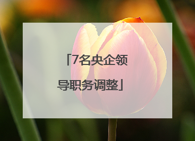 7名央企领导职务调整