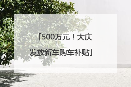 500万元！大庆发放新车购车补贴