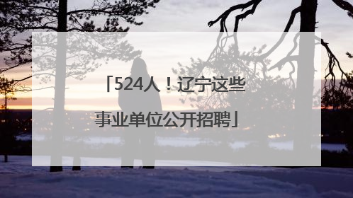 524人！辽宁这些事业单位公开招聘