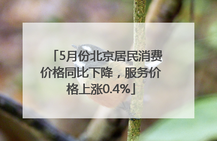 5月份北京居民消费价格同比下降，服务价格上涨0.4%