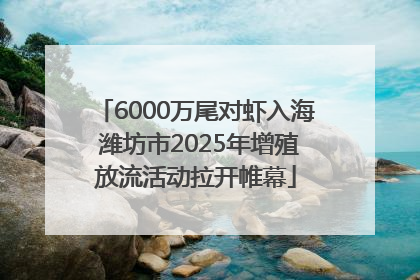 6000万尾对虾入海 潍坊市2025年增殖放流活动拉开帷幕