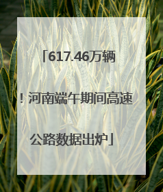 617.46万辆！河南端午期间高速公路数据出炉