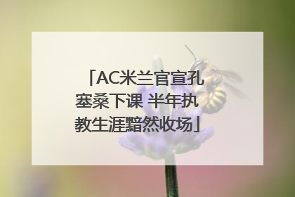 AC米兰官宣孔塞桑下课 半年执教生涯黯然收场