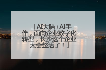 AI大脑+AI手伴，面向企业数字化转型，长沙这个企业太会整活了！