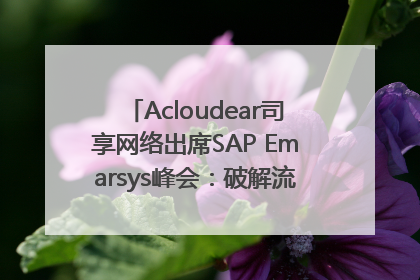 Acloudear司享网络出席SAP Emarsys峰会：破解流量困局，驱动精准增长