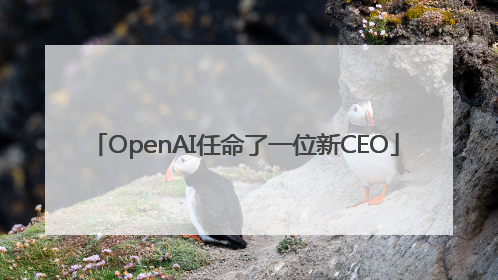 OpenAI任命了一位新CEO