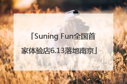 Suning Fun全国首家体验店6.13落地南京