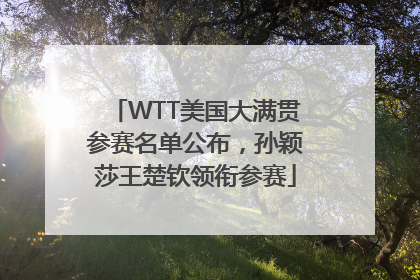 WTT美国大满贯参赛名单公布，孙颖莎王楚钦领衔参赛